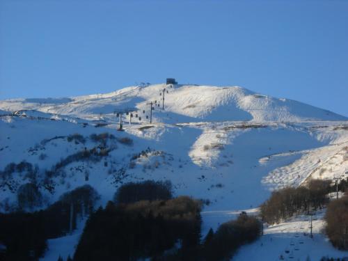Les Aliziers - image 7