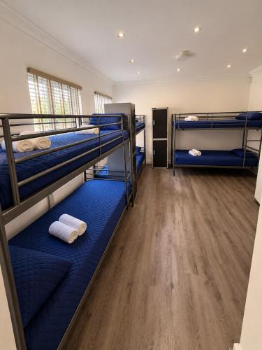 365 London Hostel 2