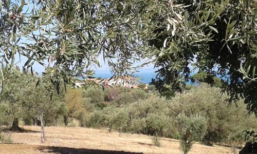 Il Casale il Sole e la Margherita