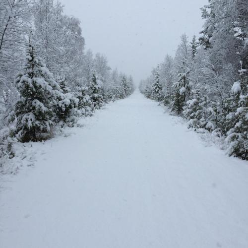 Floda Gård - image 8