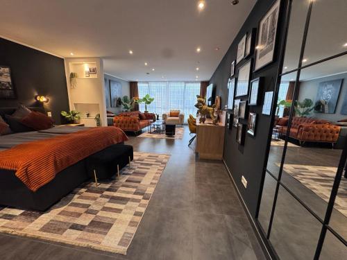 Suite, deluxe, junior