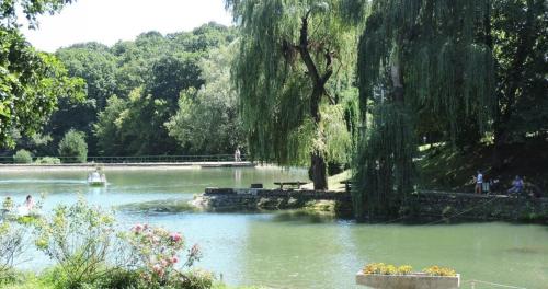 Hotel Síkfőkút - image 11