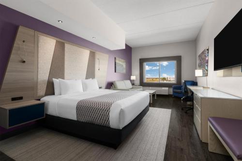 1 king bed, 1 sofa bed