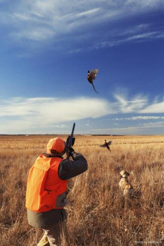 Sports and activities, Super 8 By Wyndham Pierre Sd in Pierre (SD)