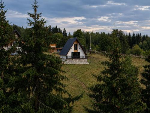 Altura A-Frame, Pale