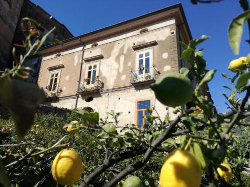 La Casa sul Blu Albergo Diffuso - Hotel - Pisciotta