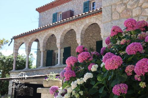 Castell Rose