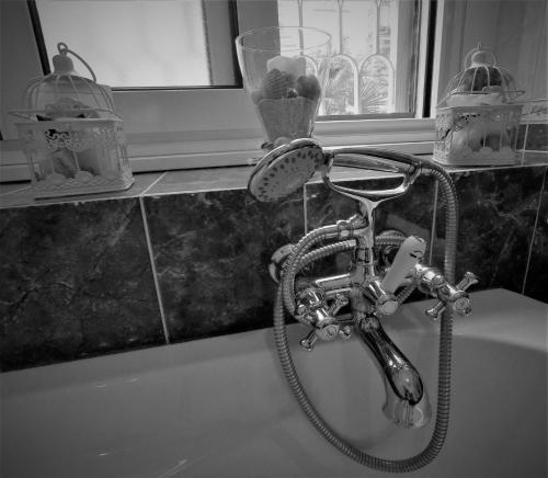 Tucci's Roma Guest House - image 4