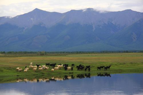 Mongolian Vision Tours in Oulan-Bator