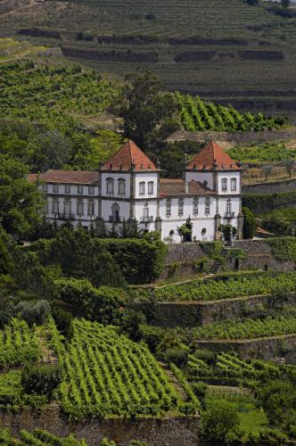  Casa das Torres de Oliveira, Pension in Mesão Frio