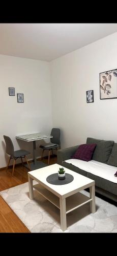 City Center Luxury Apartment