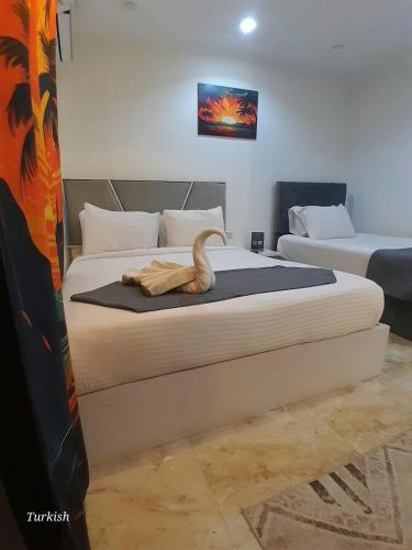 Paradise Pyramids View Inn Hotel 2