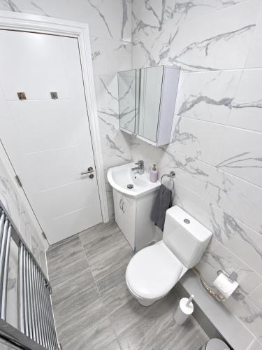 Spacious 2-Bedroom Flat in London - F3 4