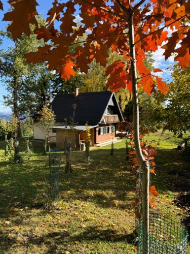 Ferienhaus in absoluter Alleinlage