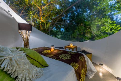 Bubble Lodge