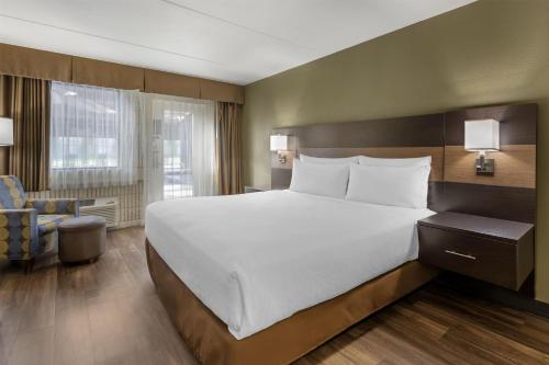 1 king bed