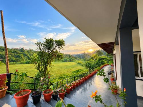 The House of Kodagu