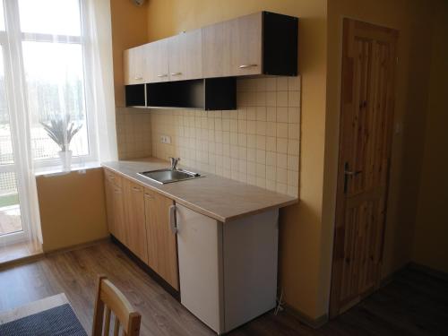 Konyha, Apartma Anglicka in Frantiskovy Lazne városközpont