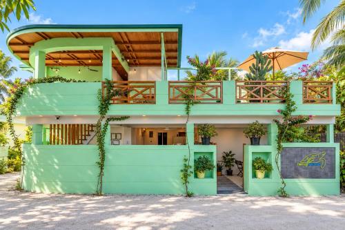 Turtle Maldives - Your Gateway to the Beach & Marine Adventures Await!