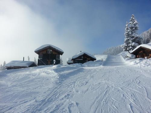 Alphütte Bielerhüs - image 3