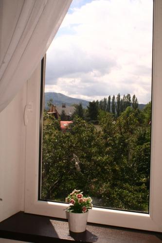 Uitzicht, BeskidPark in Bielsko-Biala