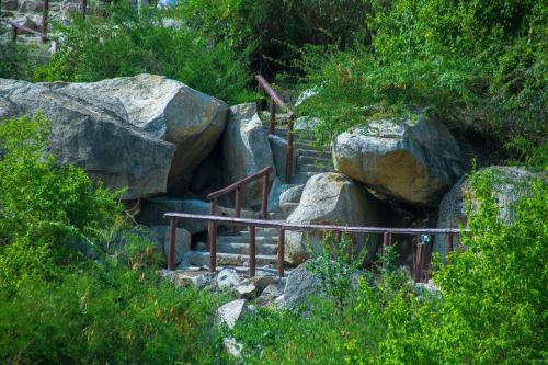 Kibuyi Beach Lodge and Campsite