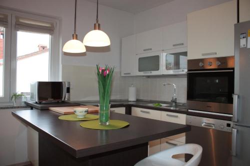  Apartman Gaby, Pension in Dračevac