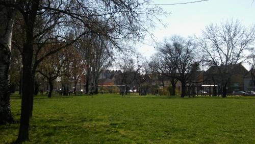 Szamóca Apartman