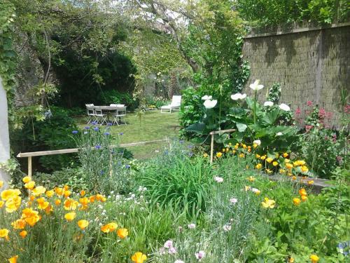 Chambres d'Hôtes Aroha - image 9