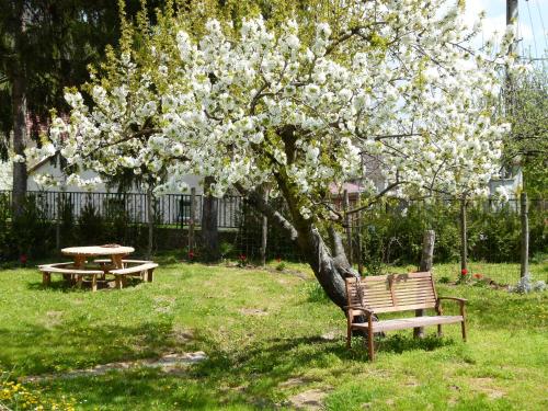  Wandellocatie en Gasterij Huis en Haard Hongarije in 7165 Mórágy