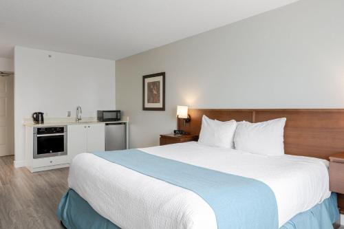 1 king bed