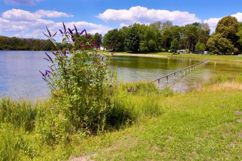 AZUR Waldcamping Auwaldsee