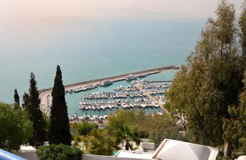 La Villa Bleue-Sidi Bou Said