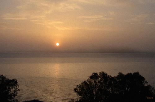 La Villa Bleue-Sidi Bou Said