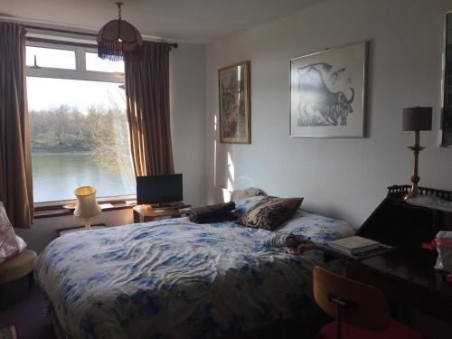 Chiswick Riviera with free parking, Londýn (fotografie 9)