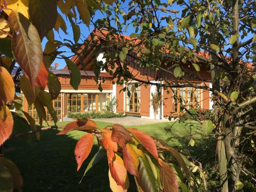 Haus Erika - Sulzberg