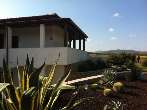 Agave Alghero - image 11