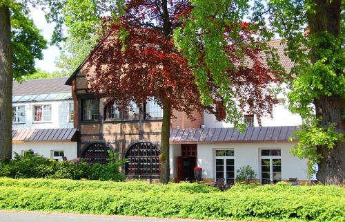 Landidyll Wilminks Parkhotel 5