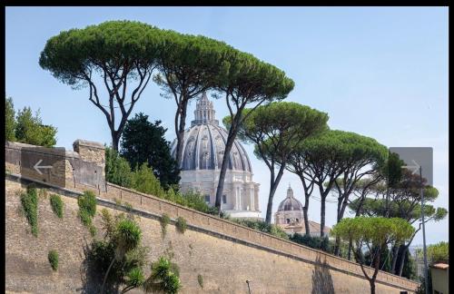 Residenza Vaticano 30