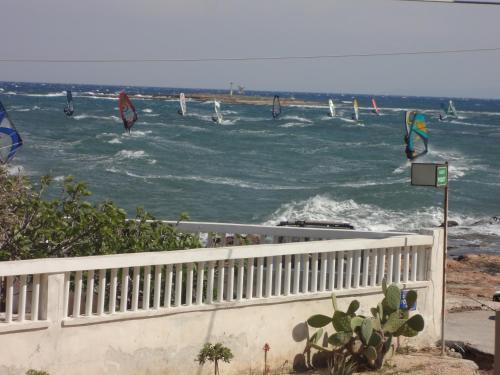 Surf House