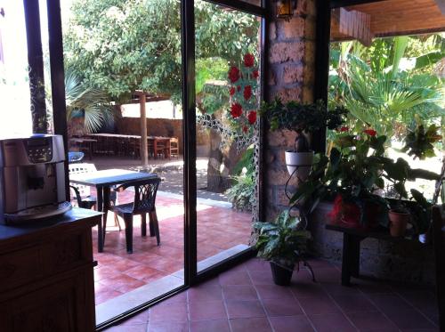 Agave Alghero - image 14