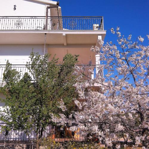  Apartment Blaz in Seget Vranjica