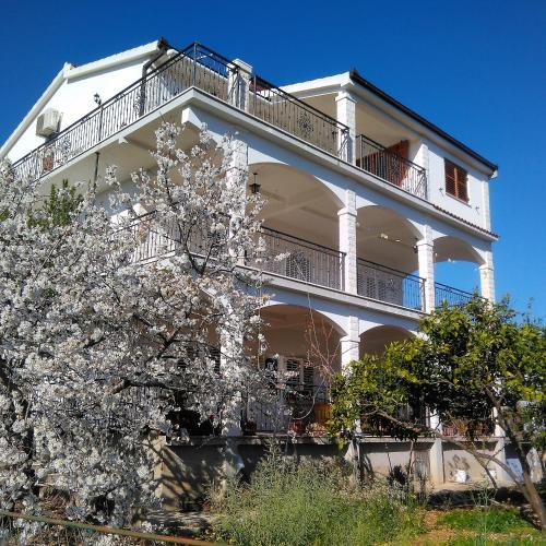  Apartment Blaz in Seget Vranjica