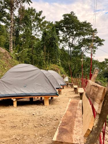 DiVi Nature Camp at Suryodaya Homestay