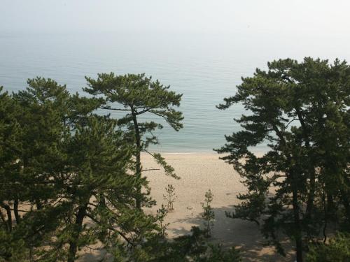 Superior Twin Room - Non-Smoking