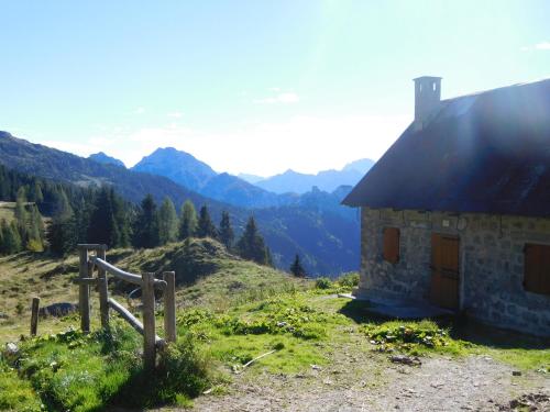 FerienFuchs FerienFuchs