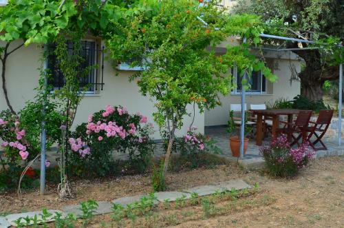 Villas Zoe - image 5
