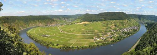Hirschen-Schuster in Mesenich, Deutschland