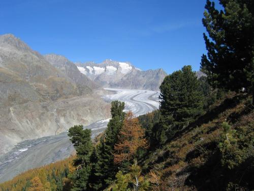 Alphütte Bielerchäller - image 4