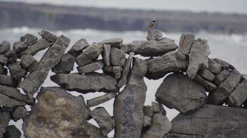 Aran Islands Camping & Glamping